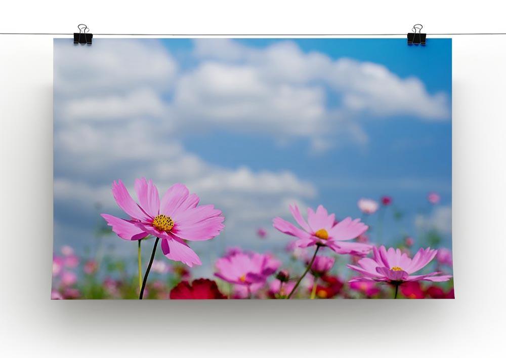 Pink cosmos field and sky Canvas Print or Poster - Canvas Art Rocks - 2