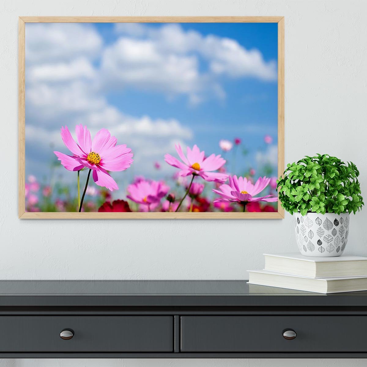 Pink cosmos field and sky Framed Print - Canvas Art Rocks - 4