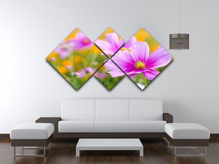 Pink cosmos in the flower fields 4 Square Multi Panel Canvas  - Canvas Art Rocks - 3