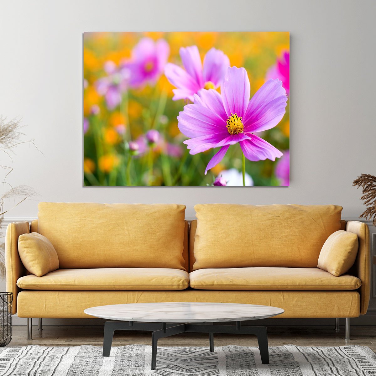 Pink cosmos in the flower fields Canvas Print or Poster