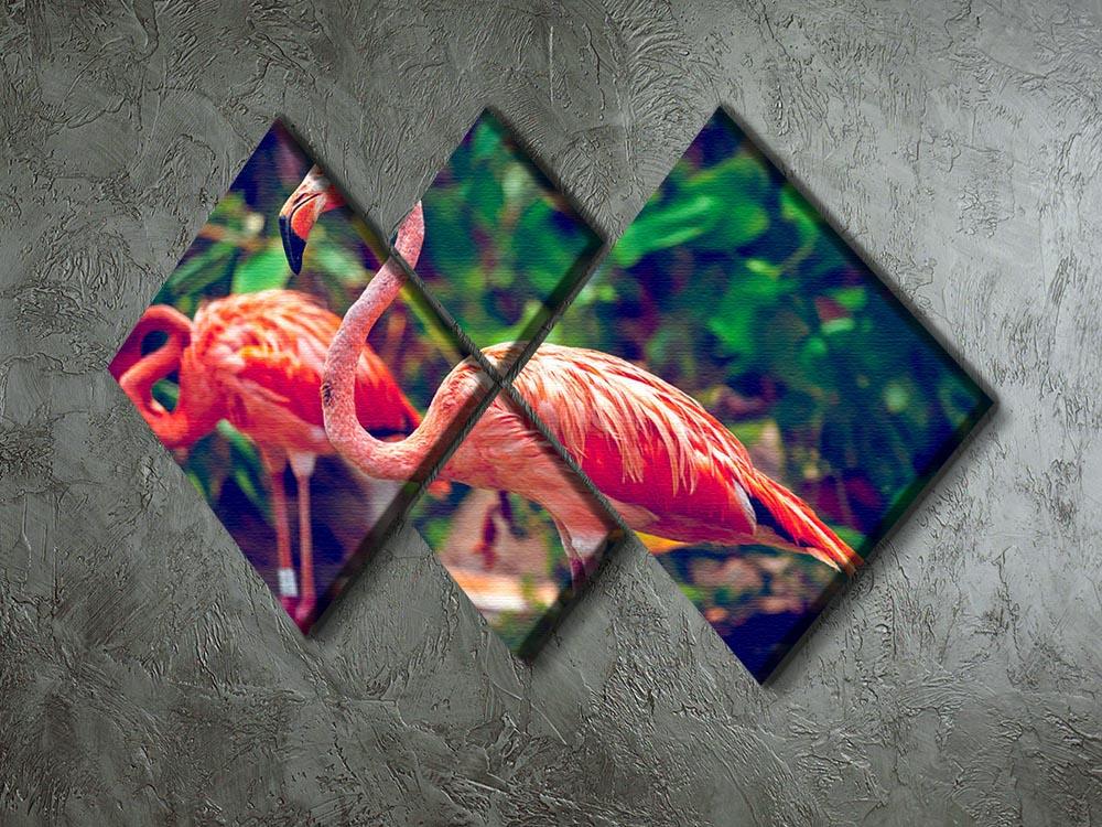 Pink flamingo close-up in Singapore zoo 4 Square Multi Panel Canvas - Canvas Art Rocks - 2