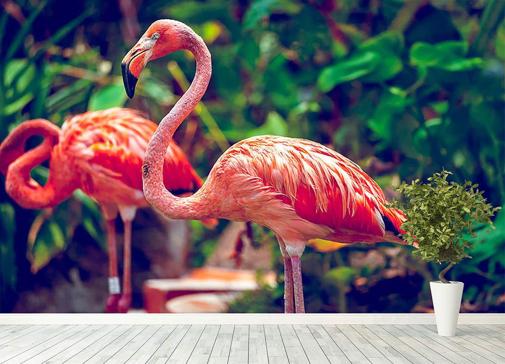 Wall Mural Pink flamingo 