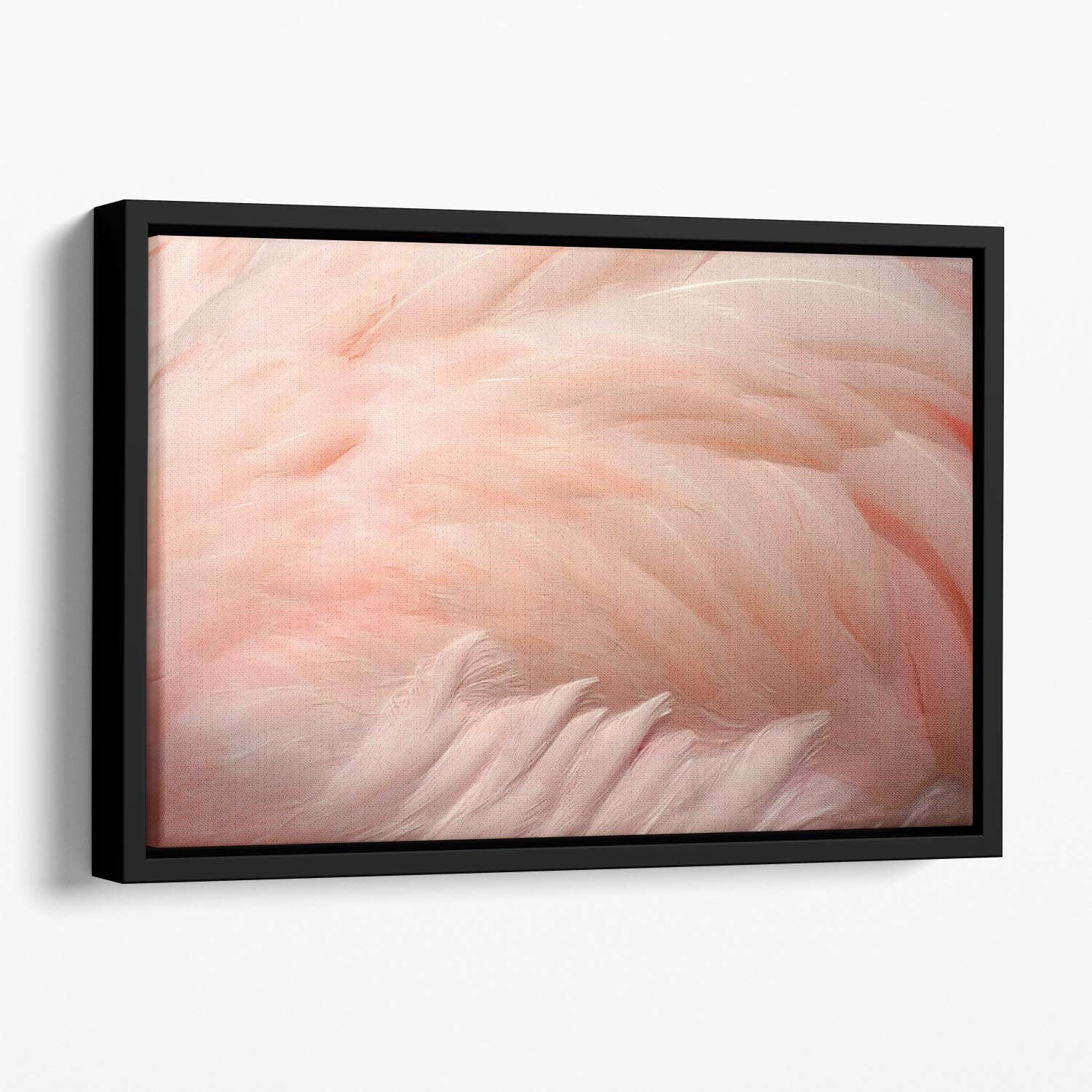 Pink flamingo feathers Floating Framed Canvas - Canvas Art Rocks - 1