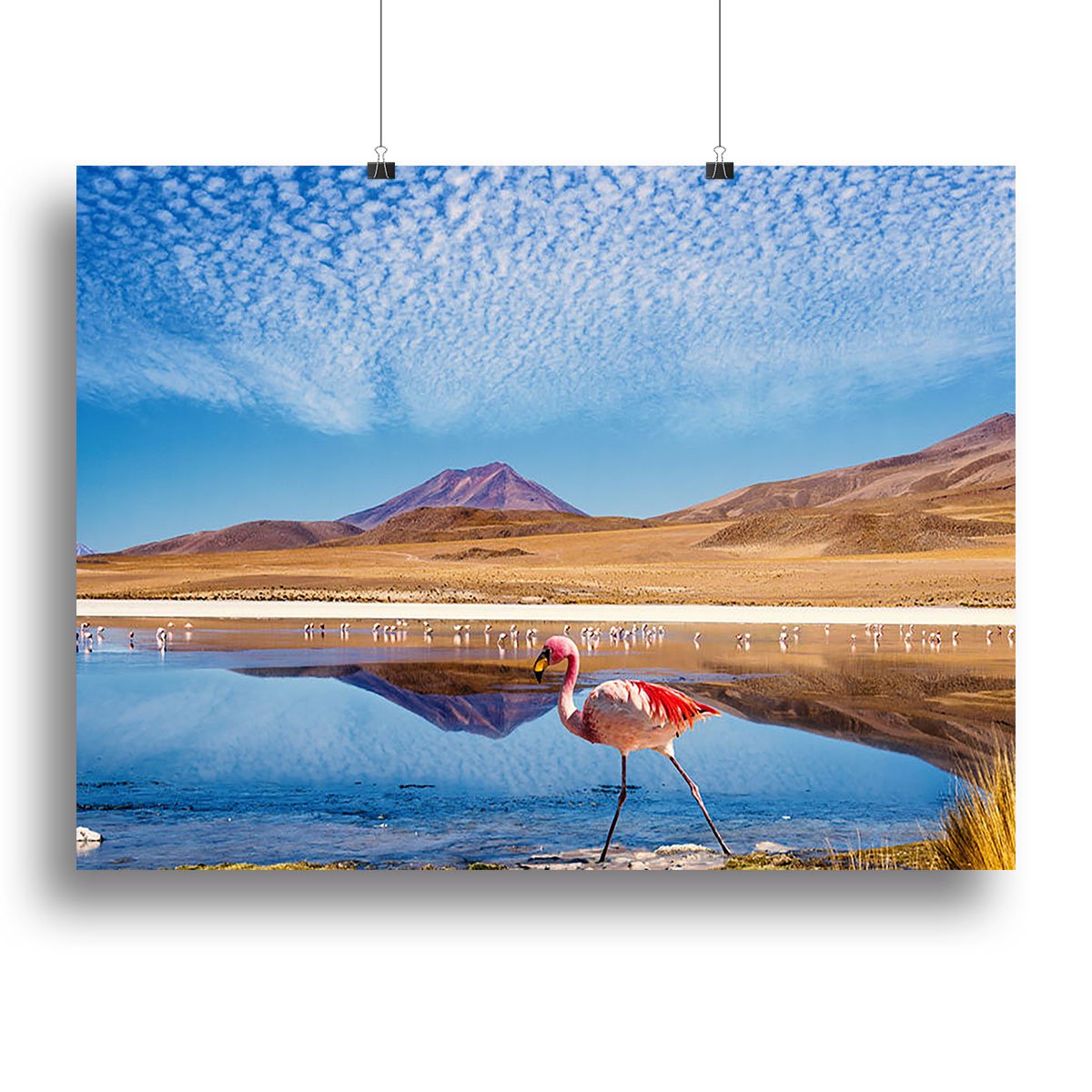 Pink flamingo walking through scene Canvas Print or Poster