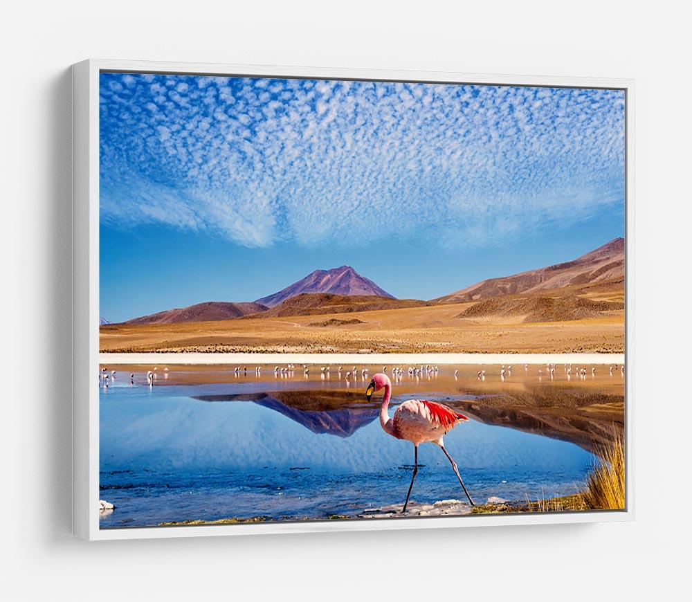 Pink flamingo walking through scene HD Metal Print - Canvas Art Rocks - 7