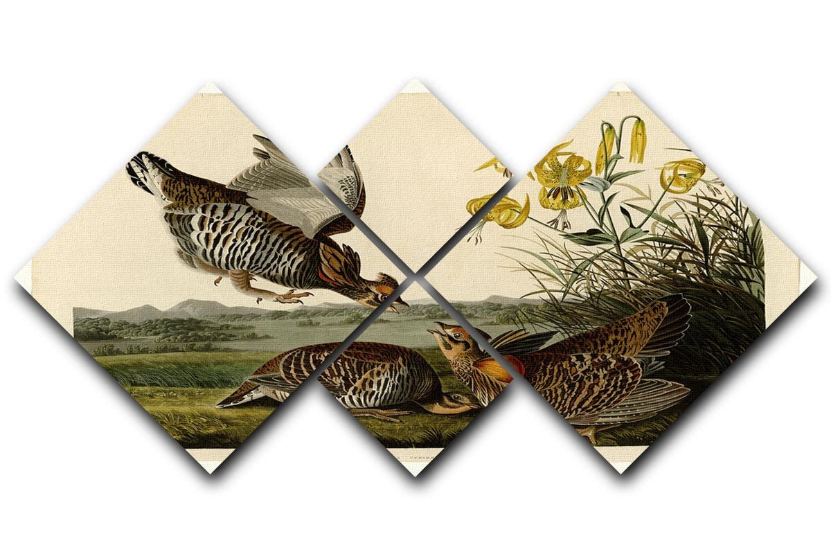 Pinnated Grouse by Audubon 4 Square Multi Panel Canvas - Canvas Art Rocks - 1