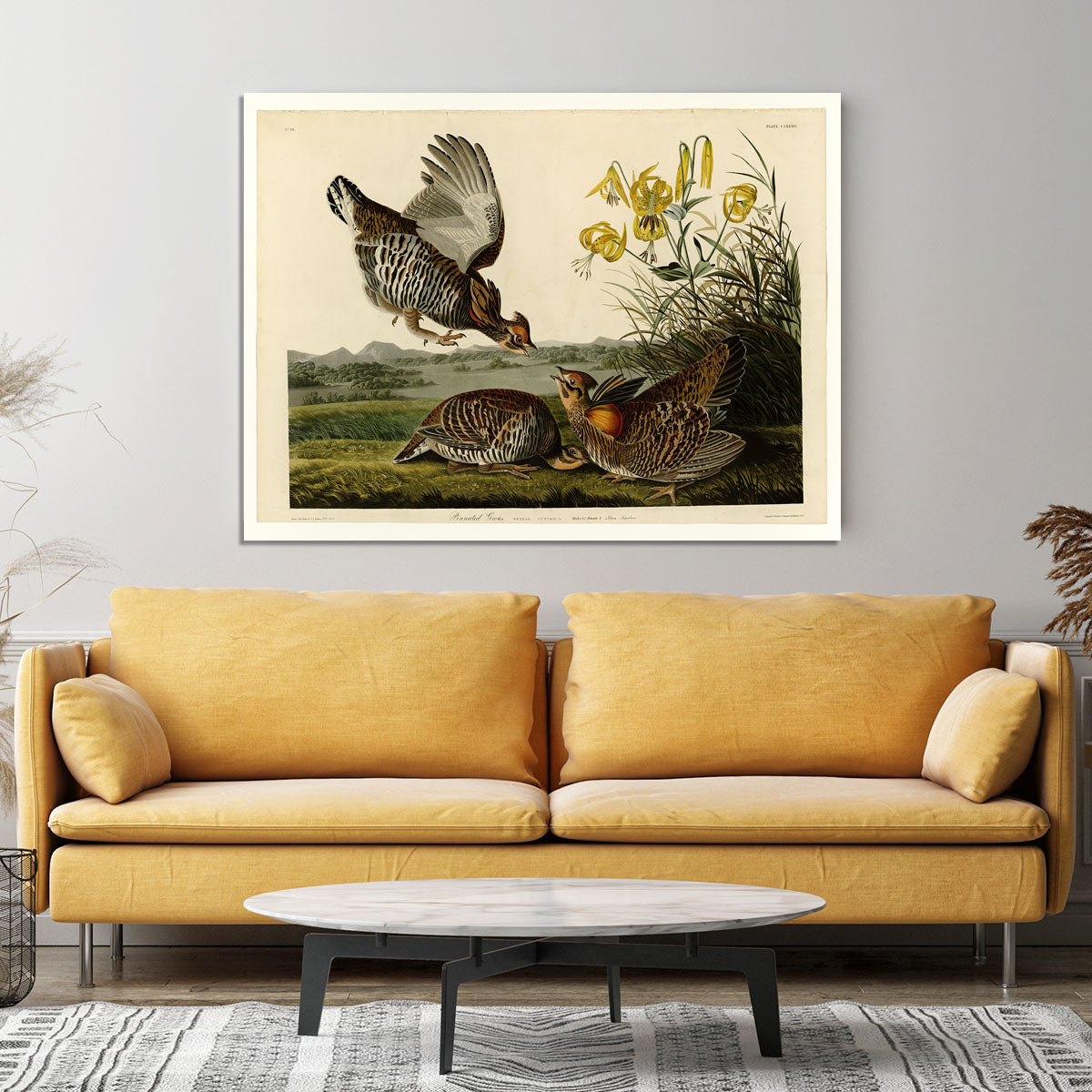 Pinnated Grouse by Audubon Canvas Print or Poster - Canvas Art Rocks - 4