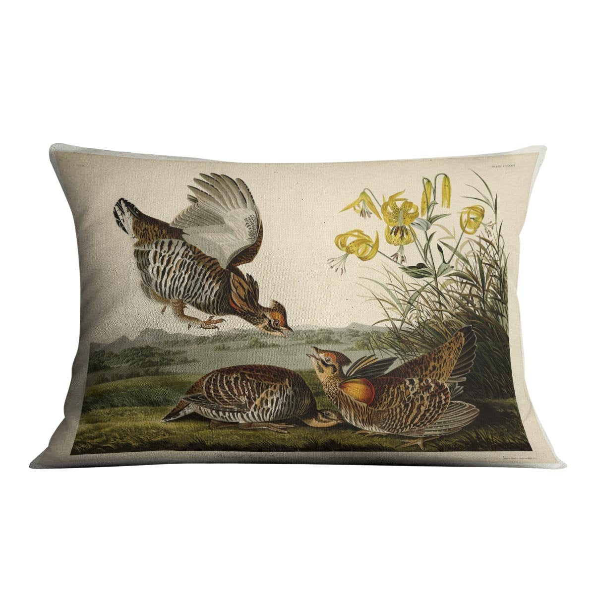 Pinnated Grouse by Audubon Cushion