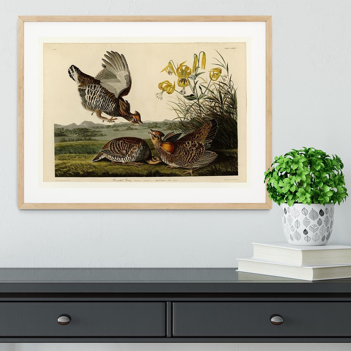 Pinnated Grouse by Audubon Framed Print - Canvas Art Rocks - 3