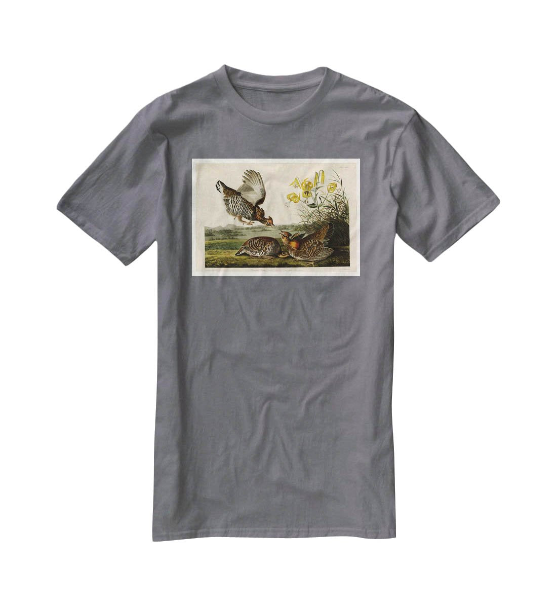 Pinnated Grouse by Audubon T-Shirt - Canvas Art Rocks - 3