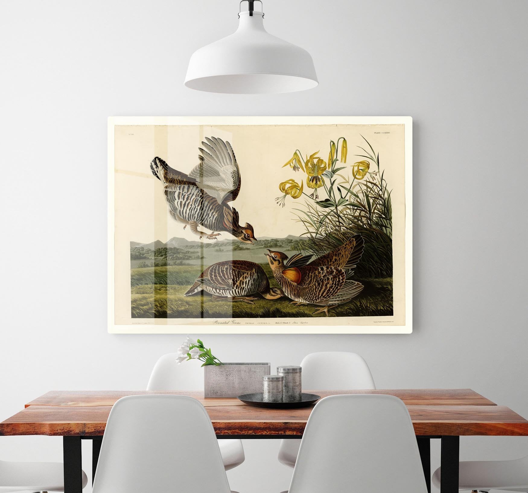 Pinnated Grouse by Audubon HD Metal Print - Canvas Art Rocks - 2