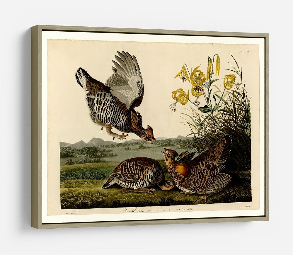 Pinnated Grouse by Audubon HD Metal Print - Canvas Art Rocks - 8