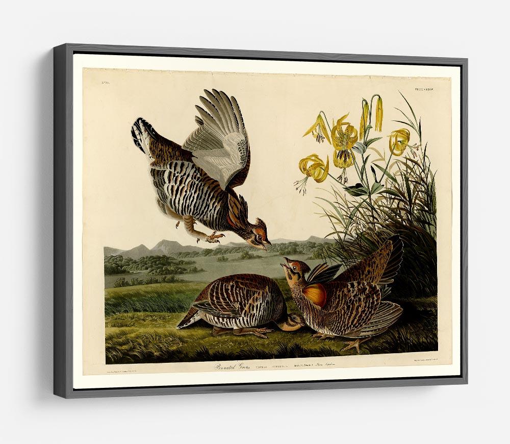 Pinnated Grouse by Audubon HD Metal Print - Canvas Art Rocks - 9