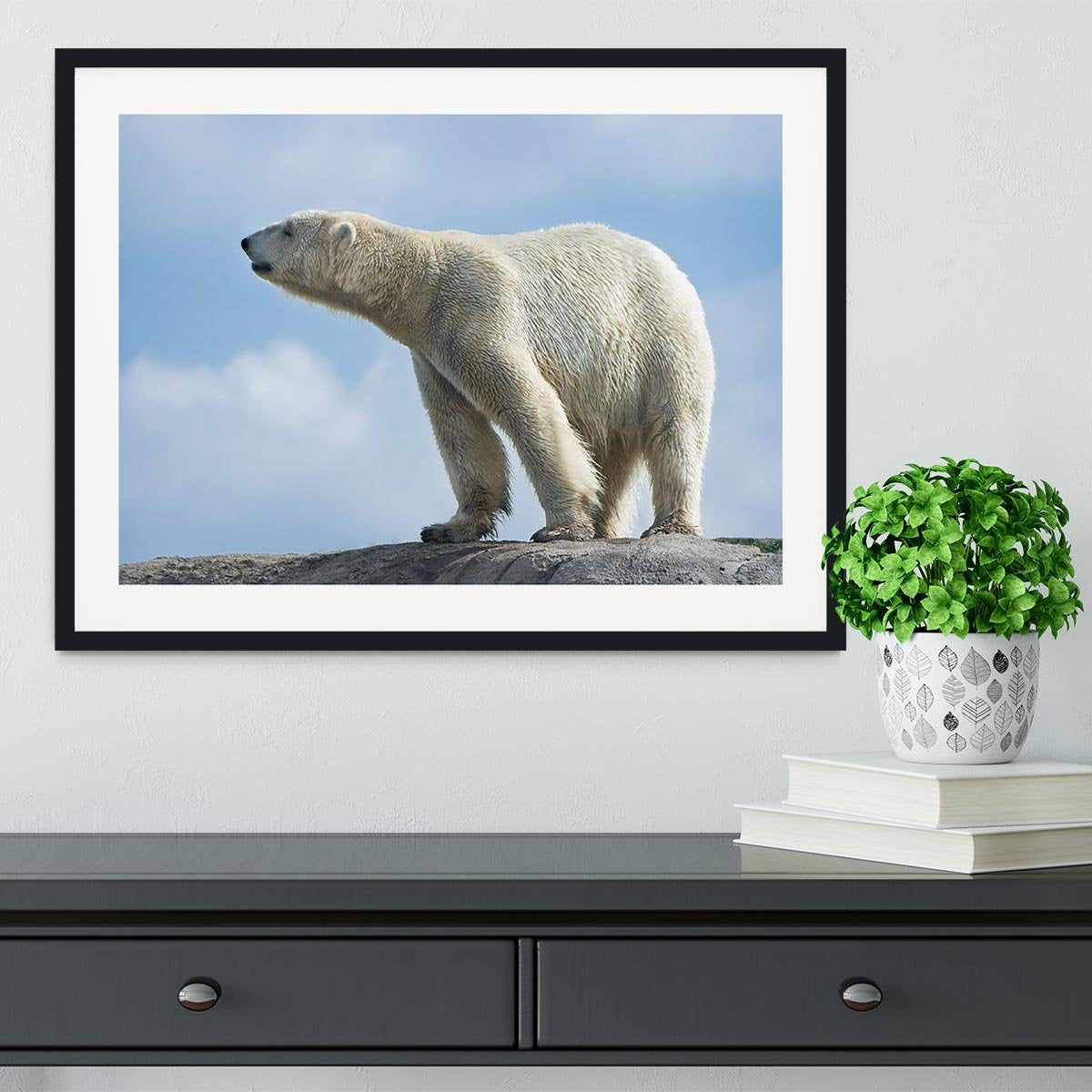 Polar bear walking on rocks Framed Print - Canvas Art Rocks - 1