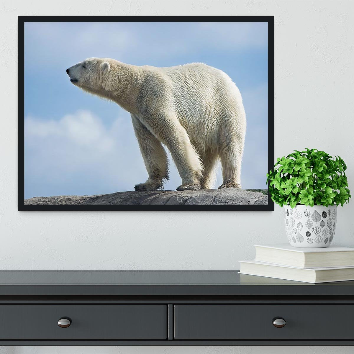 Polar bear walking on rocks Framed Print - Canvas Art Rocks - 2