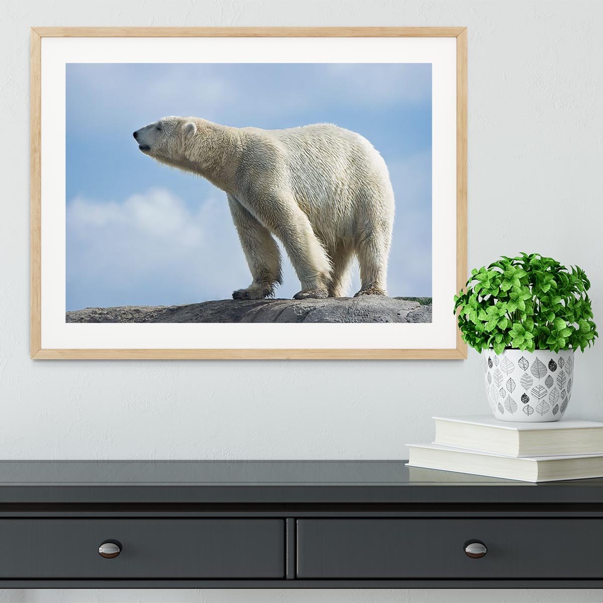 Polar bear walking on rocks Framed Print - Canvas Art Rocks - 3