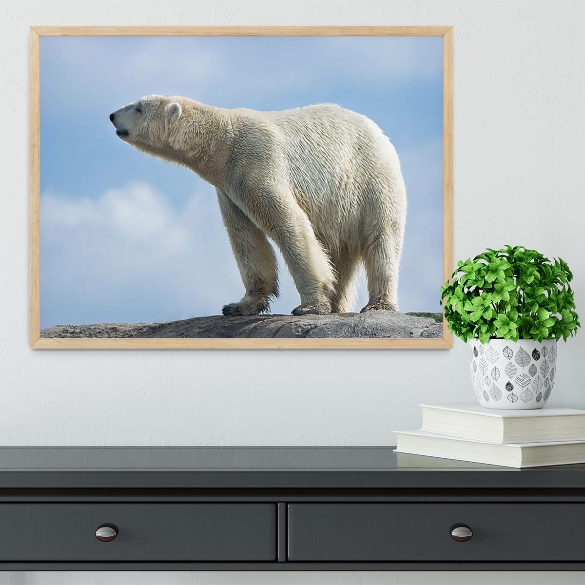 Polar bear walking on rocks Framed Print - Canvas Art Rocks - 4