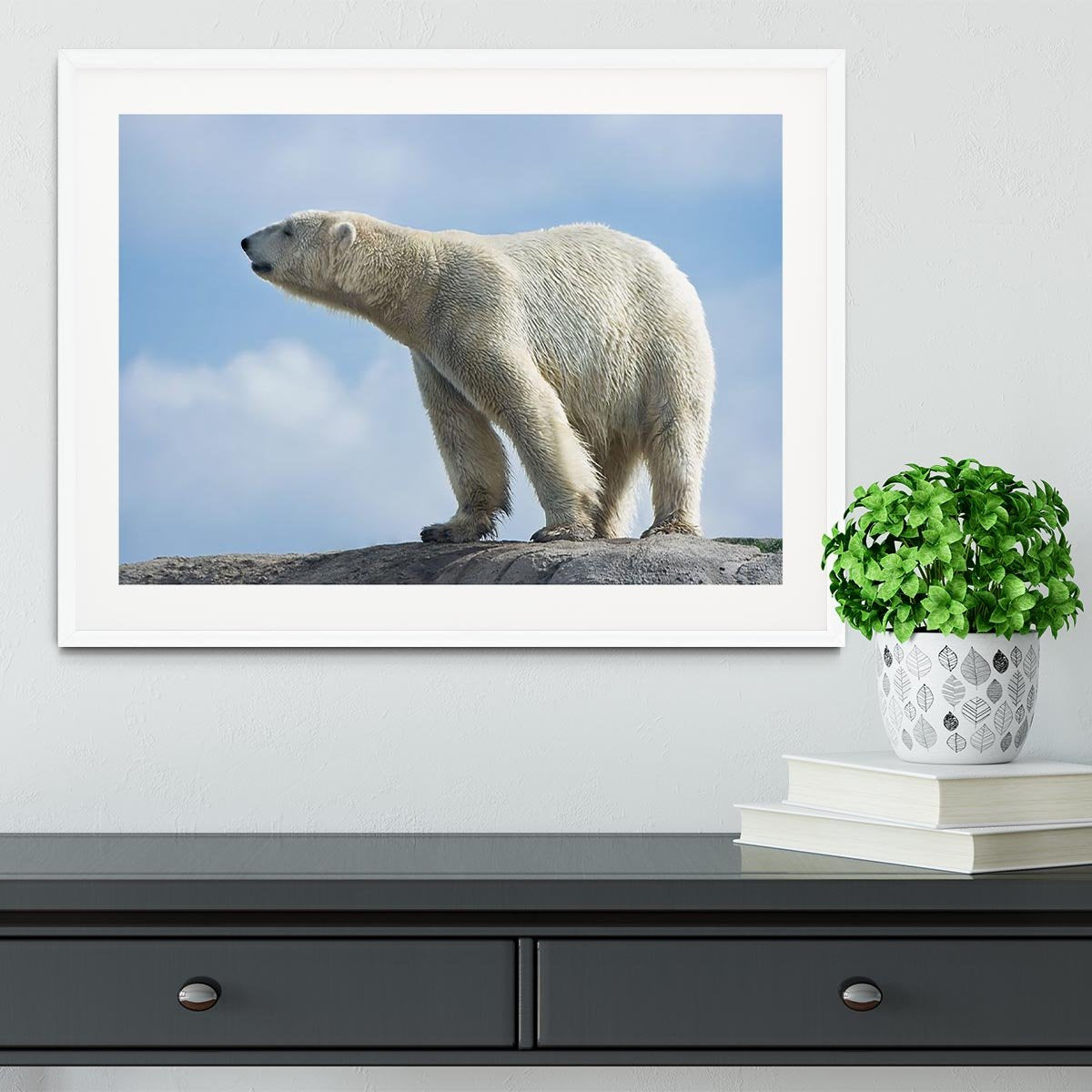 Polar bear walking on rocks Framed Print - Canvas Art Rocks - 5