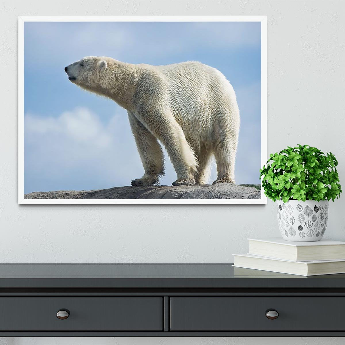 Polar bear walking on rocks Framed Print - Canvas Art Rocks -6