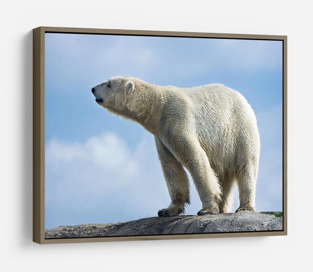Polar bear walking on rocks HD Metal Print - Canvas Art Rocks - 10