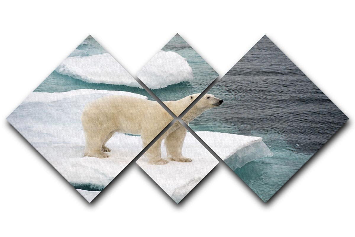 Polar bear walking on sea ice 4 Square Multi Panel Canvas - Canvas Art Rocks - 1