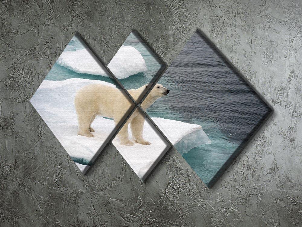 Polar bear walking on sea ice 4 Square Multi Panel Canvas - Canvas Art Rocks - 2