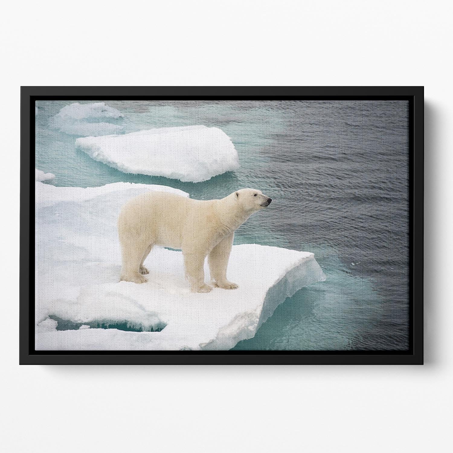 Polar bear walking on sea ice Floating Framed Canvas - Canvas Art Rocks - 2