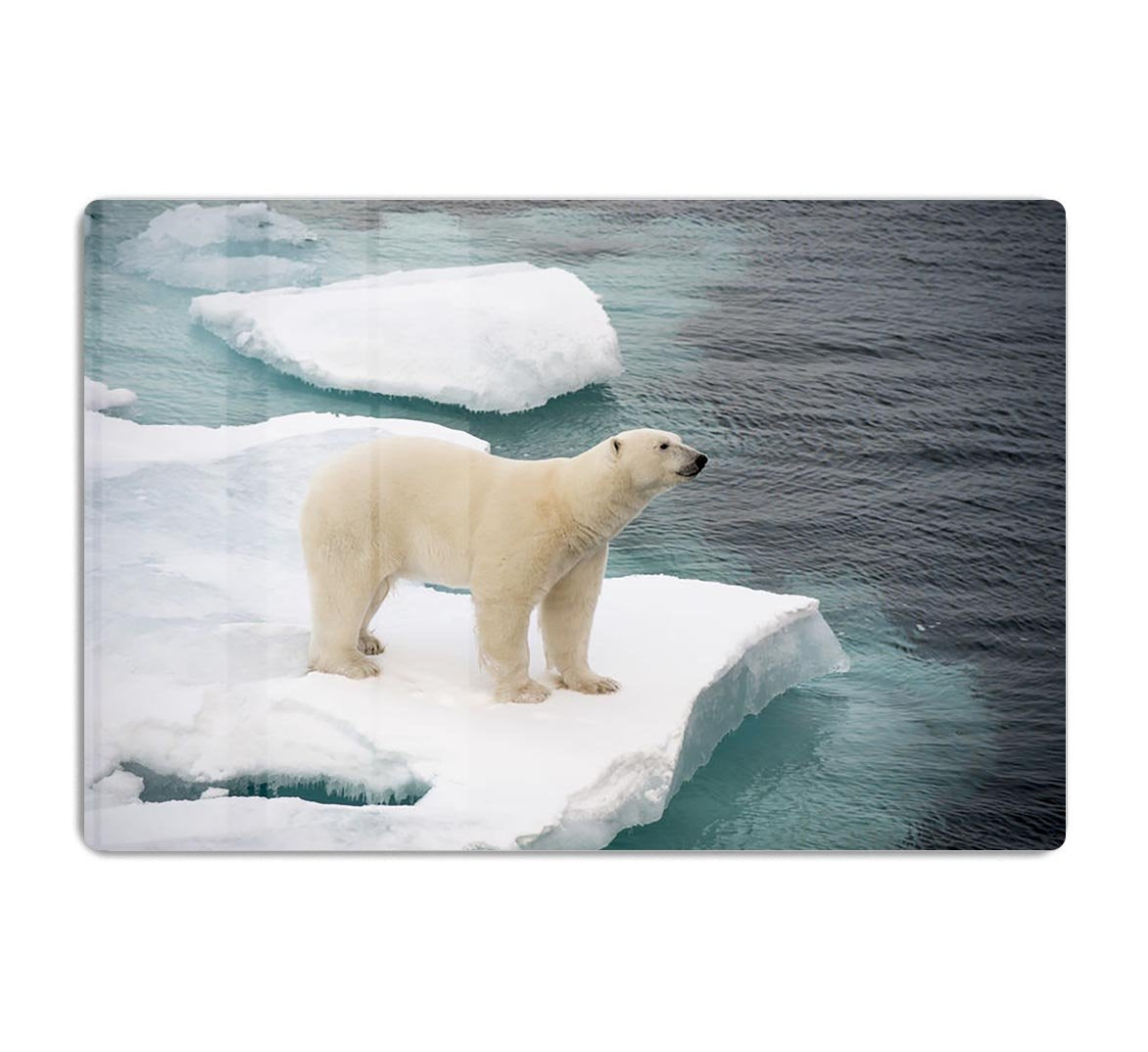 Polar bear walking on sea ice HD Metal Print - Canvas Art Rocks - 1