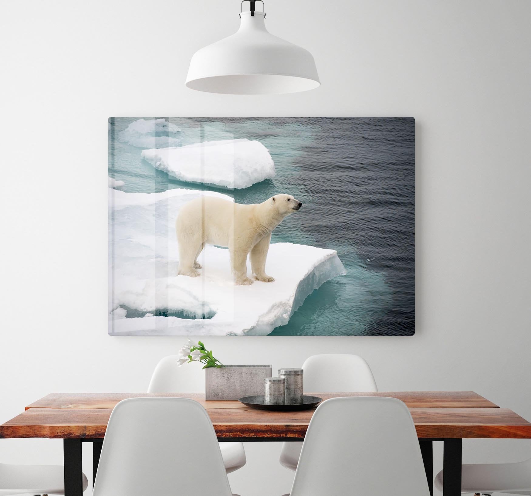 Polar bear walking on sea ice HD Metal Print - Canvas Art Rocks - 2