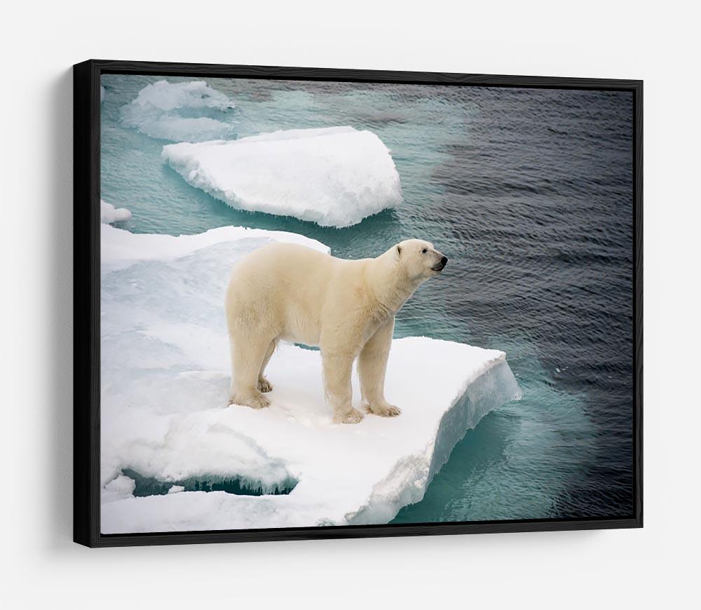 Polar bear walking on sea ice HD Metal Print - Canvas Art Rocks - 6