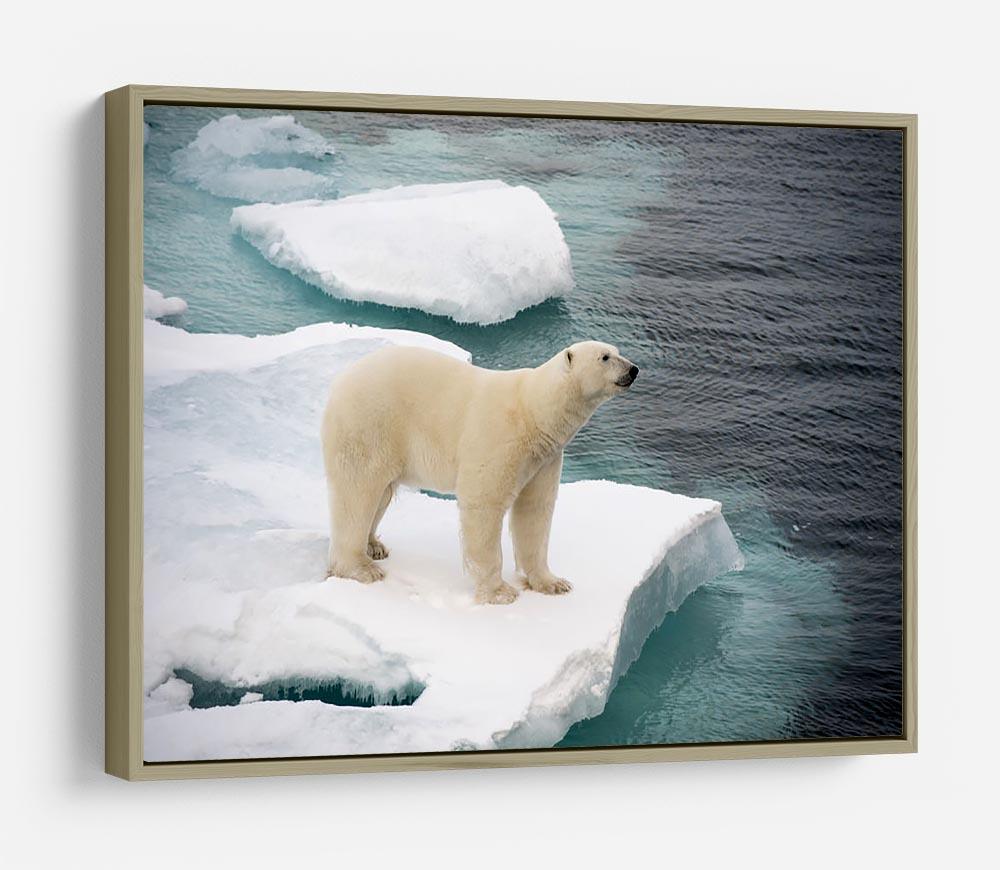 Polar bear walking on sea ice HD Metal Print - Canvas Art Rocks - 8