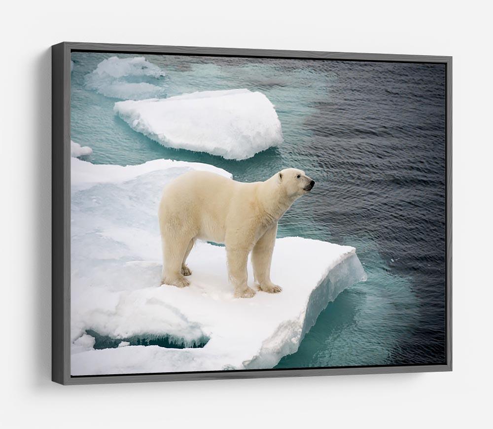 Polar bear walking on sea ice HD Metal Print - Canvas Art Rocks - 9