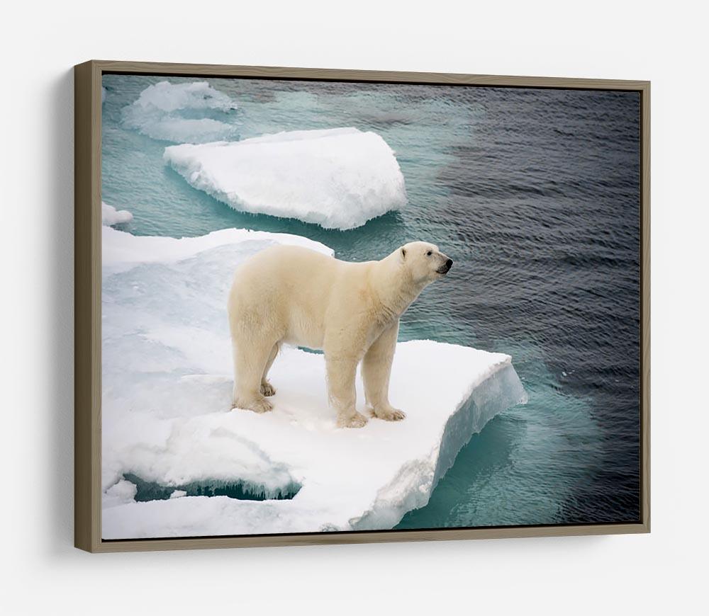 Polar bear walking on sea ice HD Metal Print - Canvas Art Rocks - 10