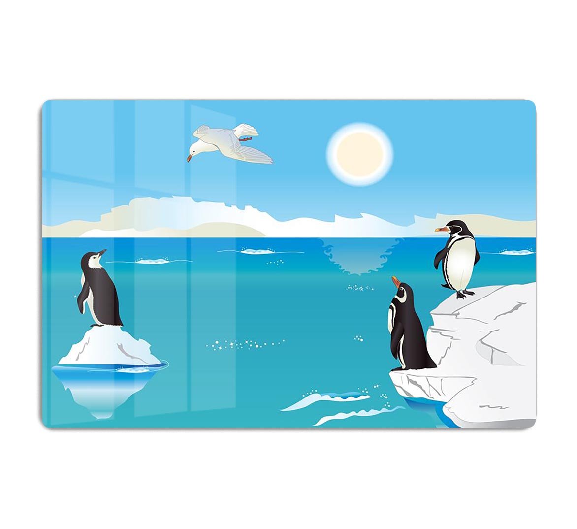 Polar scenery with penguins and sea gull HD Metal Print - Canvas Art Rocks - 1