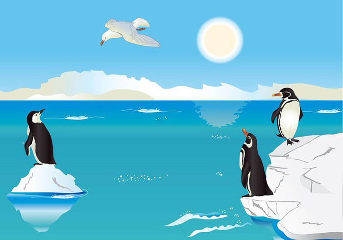 Polar scenery with penguins and sea gull Wall Mural Wallpaper
