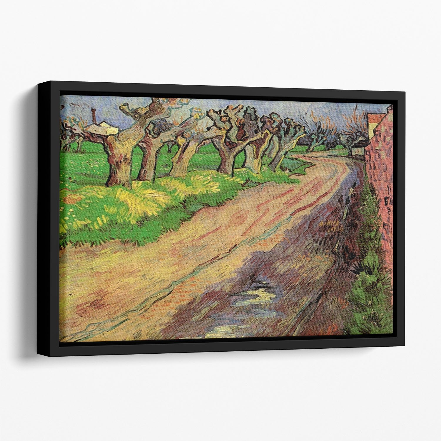 Pollard Willows by Van Gogh Floating Framed Canvas