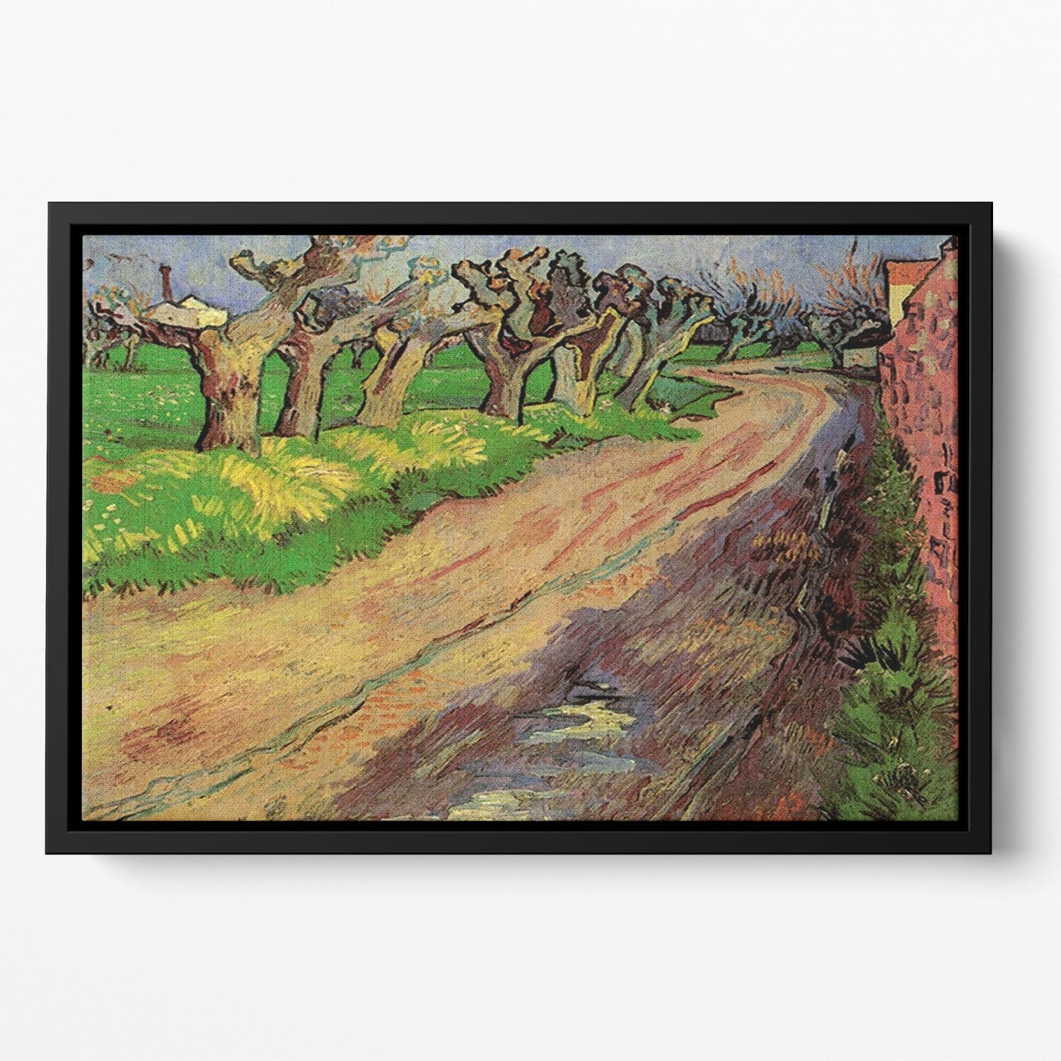 Pollard Willows by Van Gogh Floating Framed Canvas