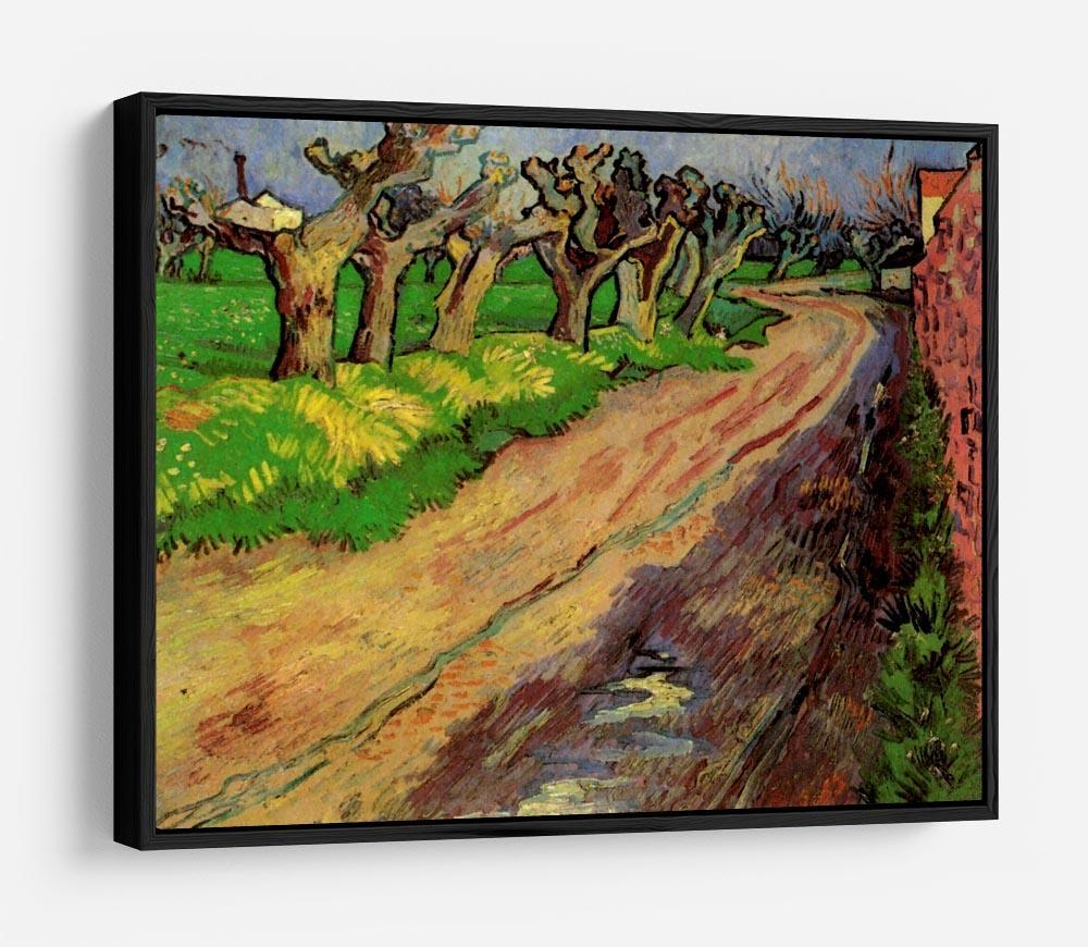 Pollard Willows by Van Gogh HD Metal Print