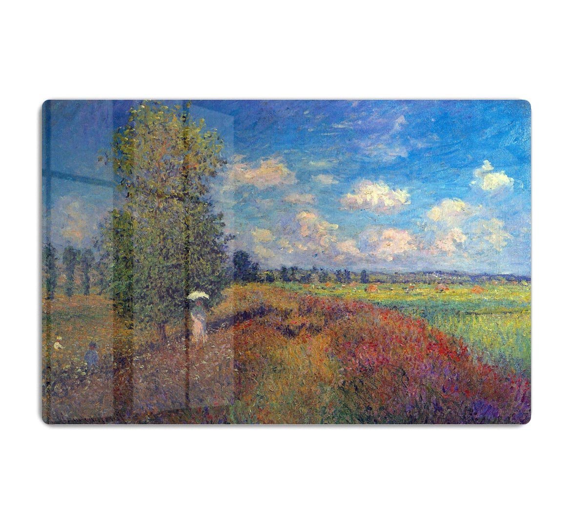 Poppy Field in Summer by Monet HD Metal Print