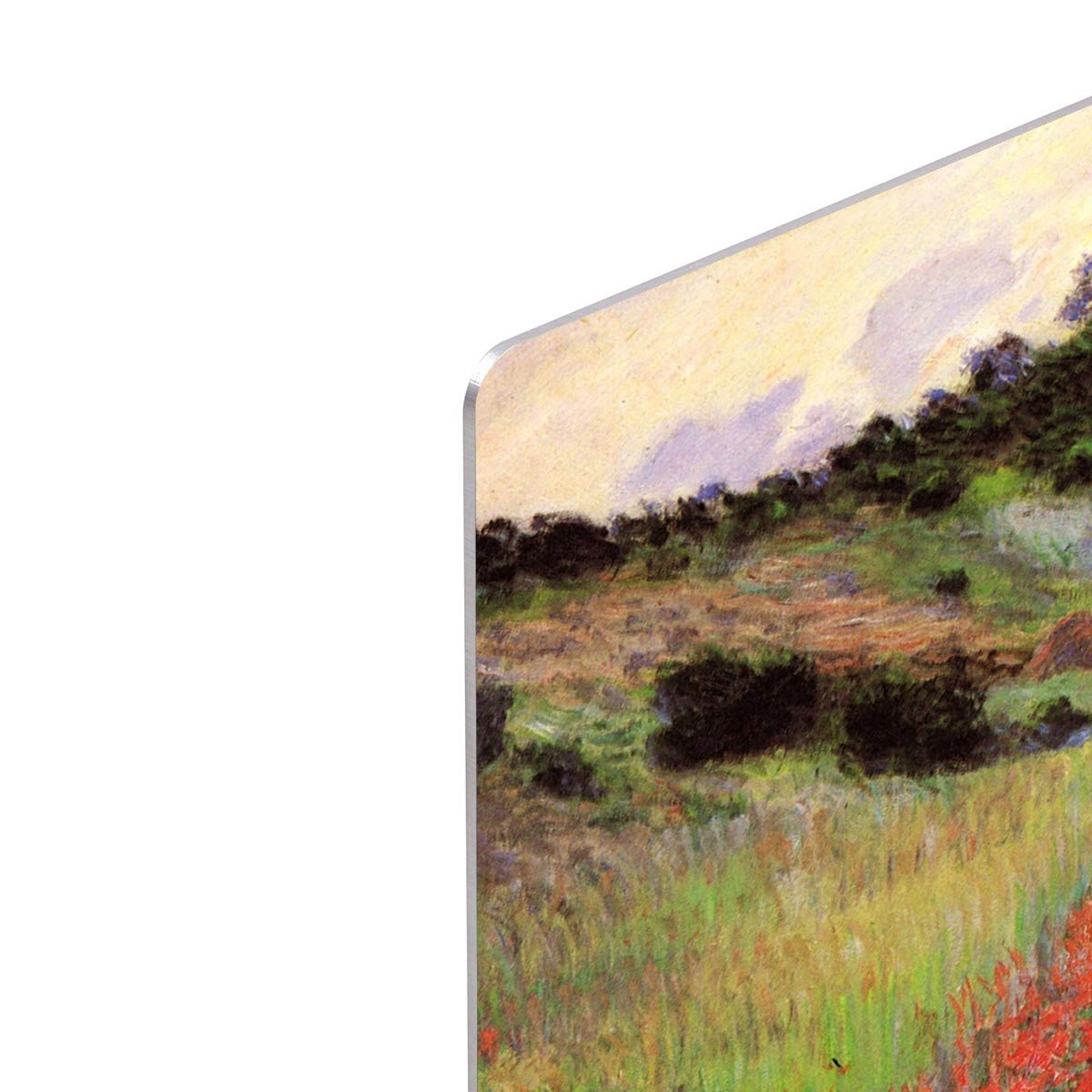 Poppy Field of Flowers in Giverny by Monet HD Metal Print