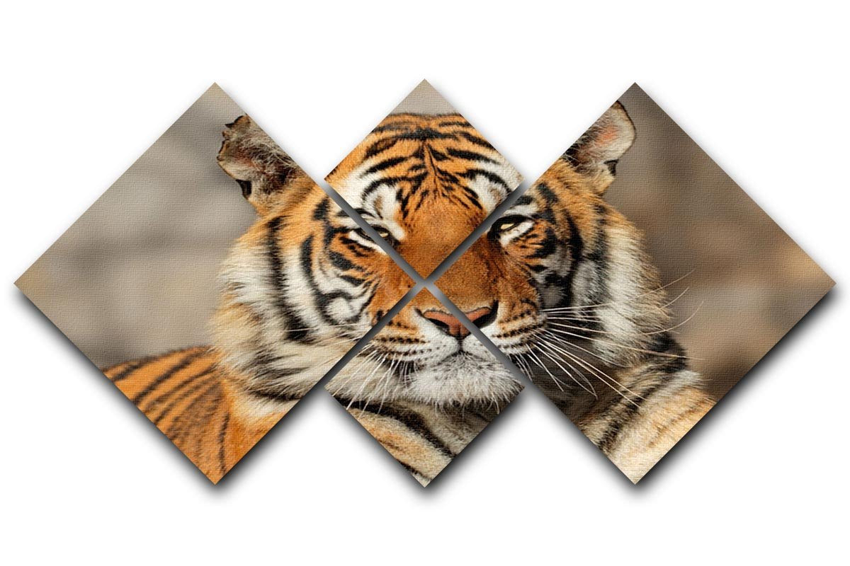 Portrait of a Bengal tiger 4 Square Multi Panel Canvas - Canvas Art Rocks - 1