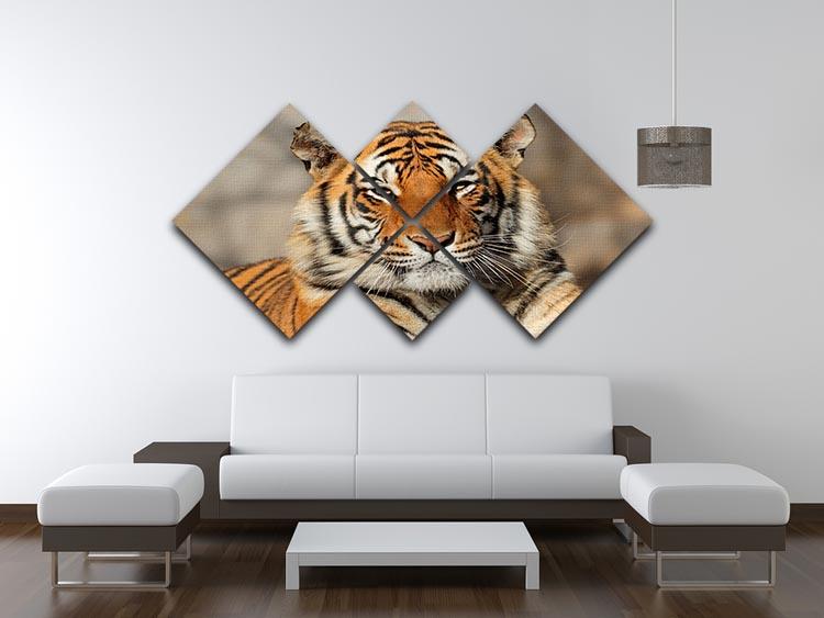Portrait of a Bengal tiger 4 Square Multi Panel Canvas - Canvas Art Rocks - 3