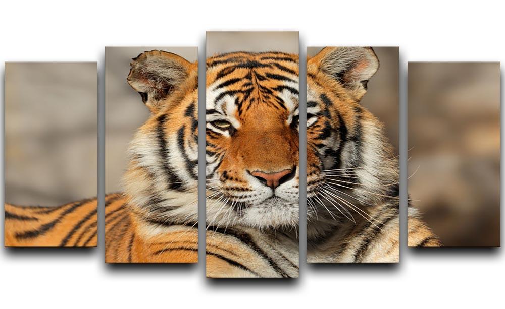 Portrait of a Bengal tiger 5 Split Panel Canvas - Canvas Art Rocks - 1