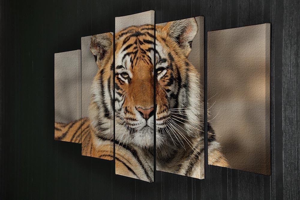 Portrait of a Bengal tiger 5 Split Panel Canvas - Canvas Art Rocks - 2
