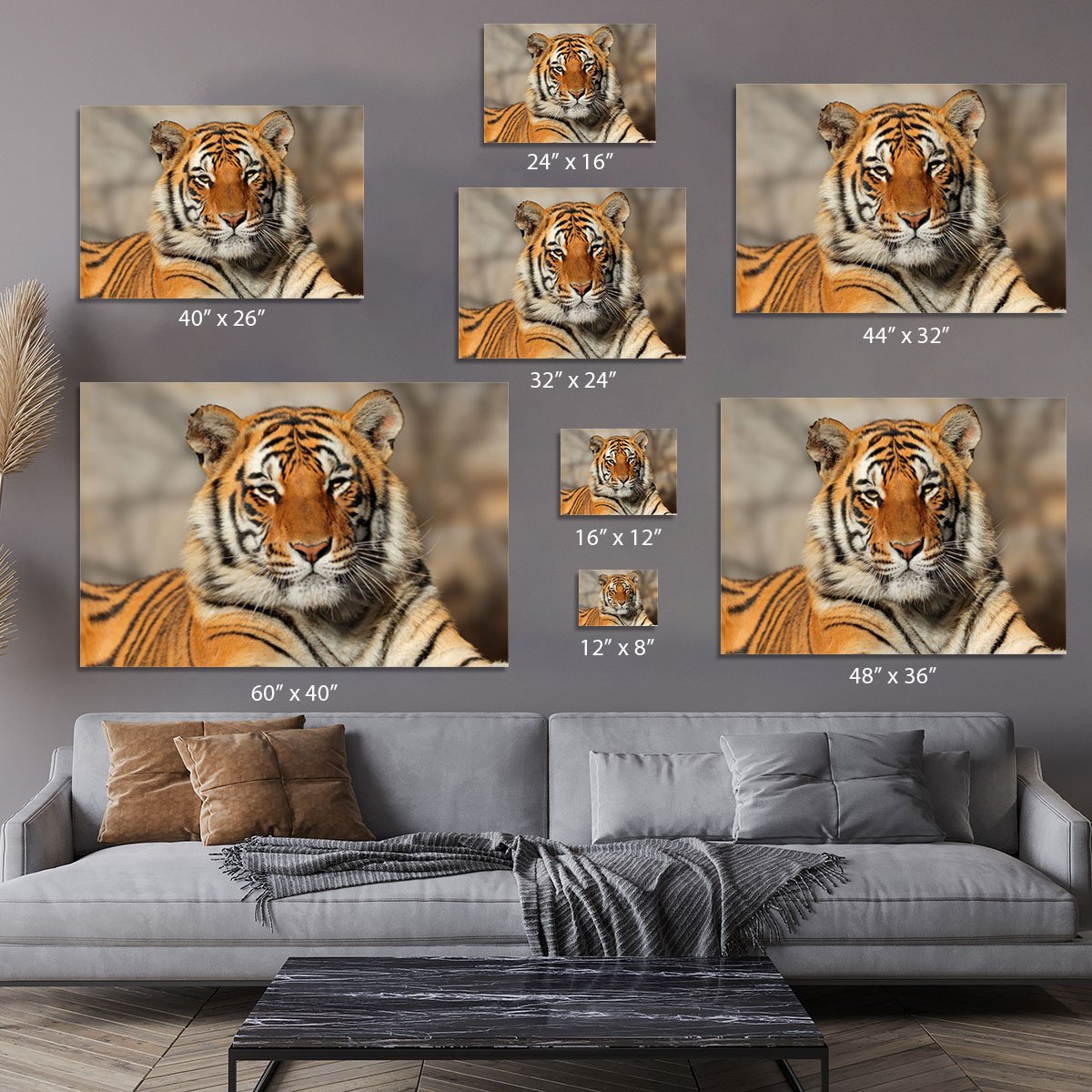 Portrait of a Bengal tiger Canvas Print or Poster
