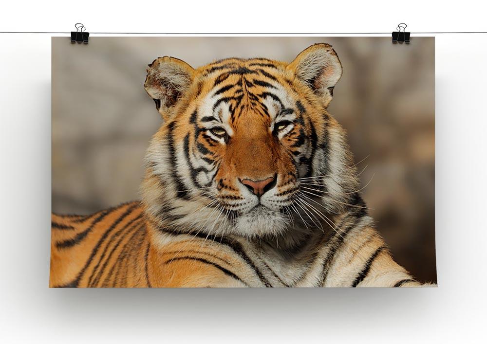 Portrait of a Bengal tiger Canvas Print or Poster - Canvas Art Rocks - 2