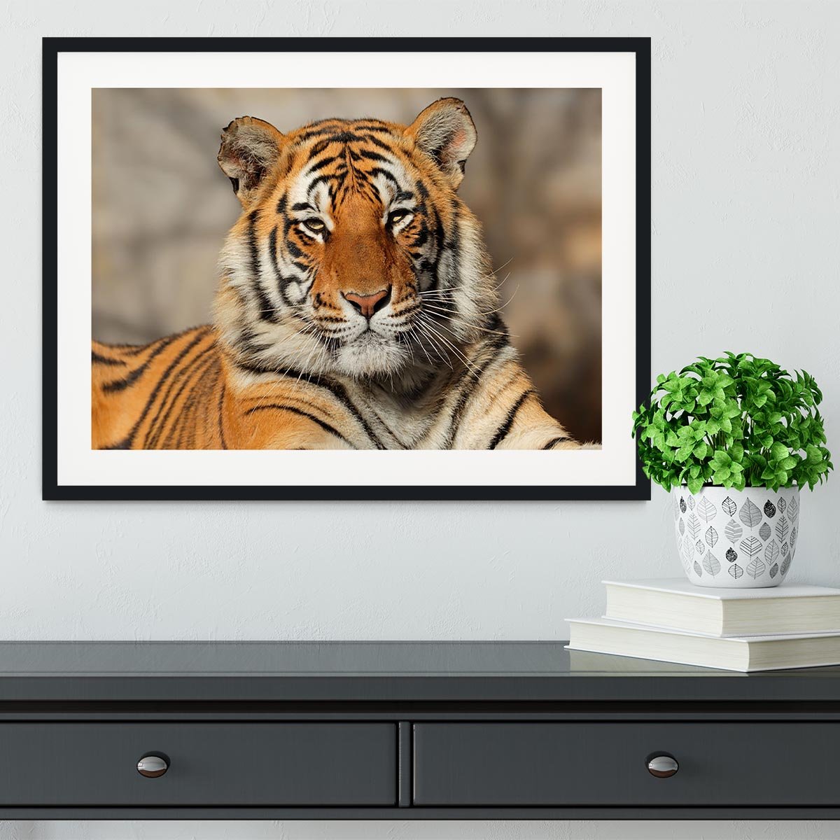 Portrait of a Bengal tiger Framed Print - Canvas Art Rocks - 1