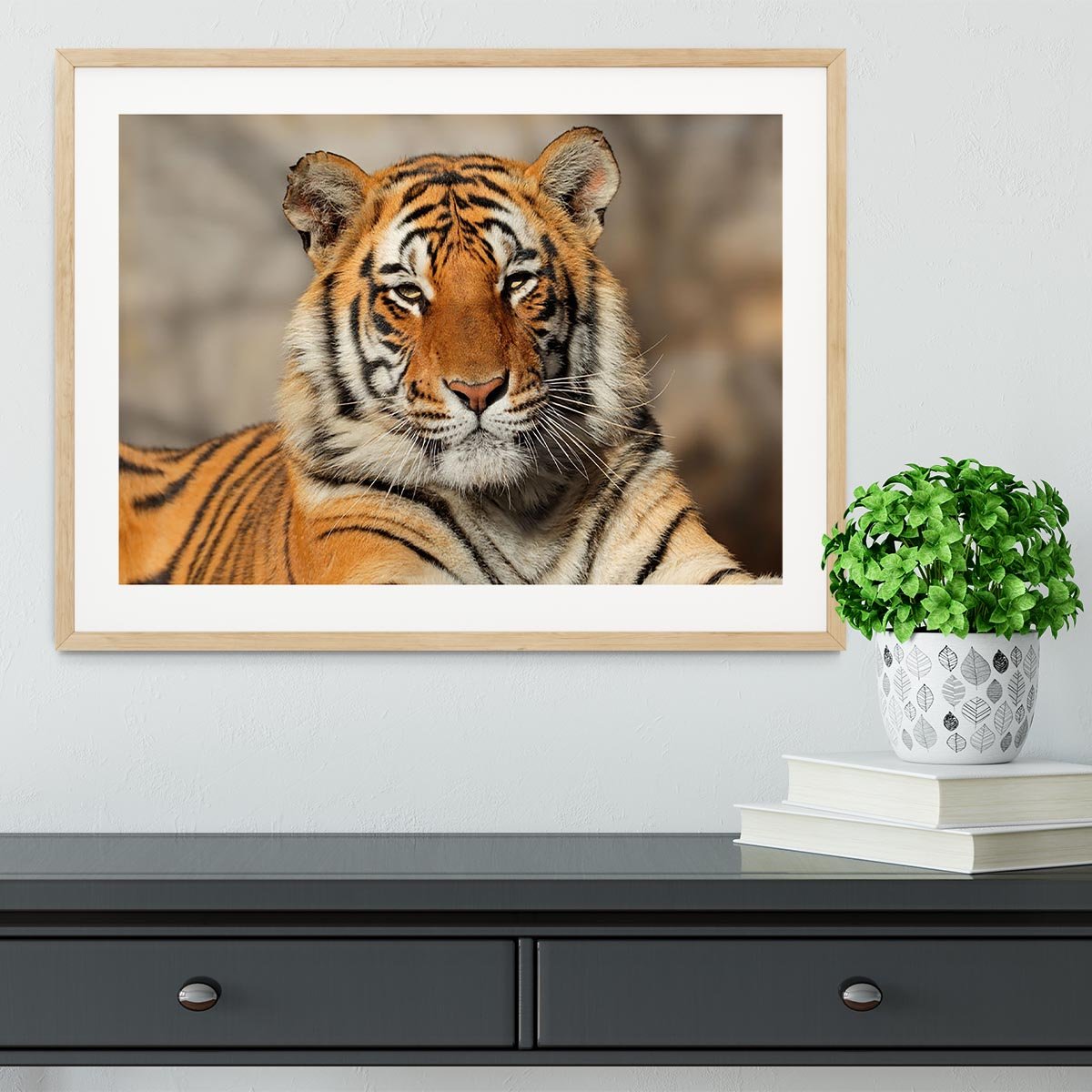 Portrait of a Bengal tiger Framed Print - Canvas Art Rocks - 3