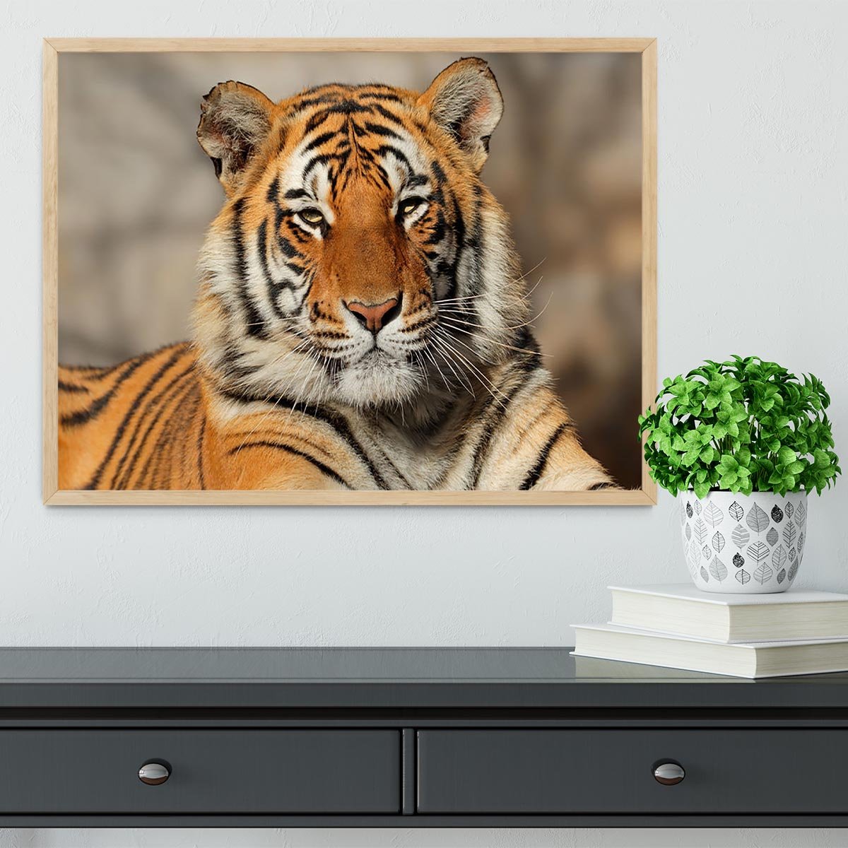 Portrait of a Bengal tiger Framed Print - Canvas Art Rocks - 4