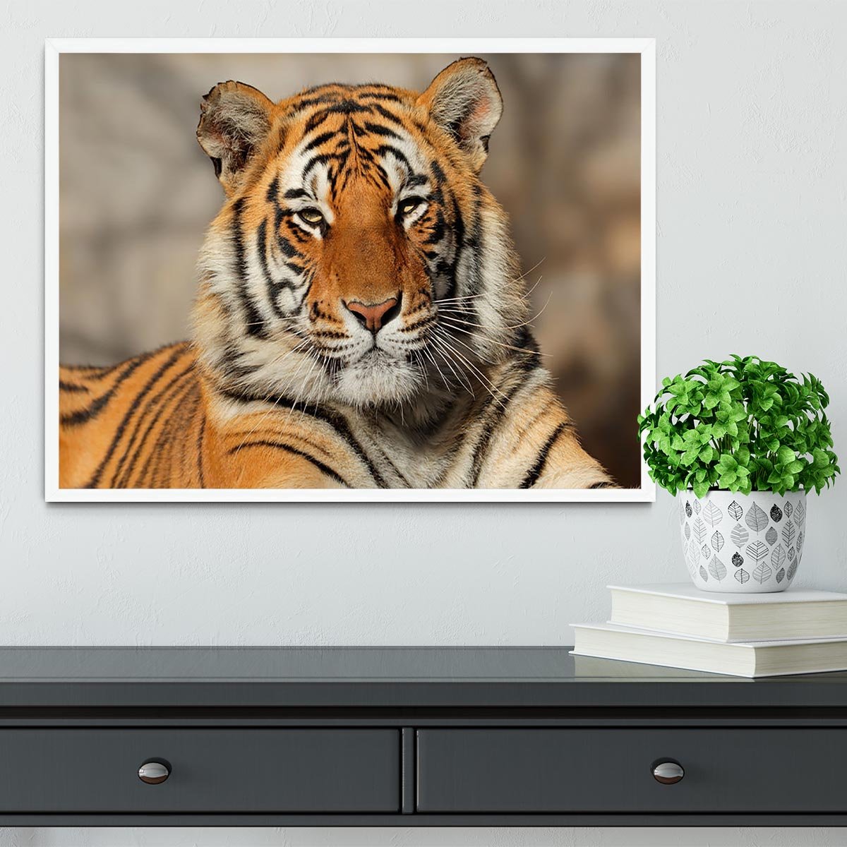 Portrait of a Bengal tiger Framed Print - Canvas Art Rocks -6